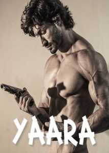 Yaara (2020) Hindi