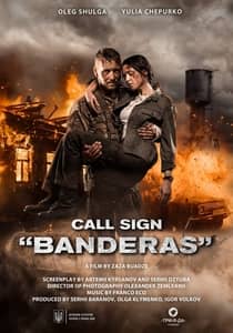 Call Sign Banderas 2018 Hindi Dubbed